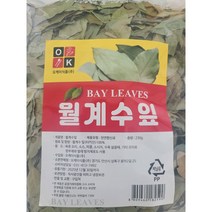 터키산 월계수잎 230g