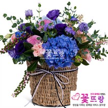 꽃뜨랑 축하꽃바구니 축하선물 생일선물 생화 전국당일꽃배달, A07 블루오션