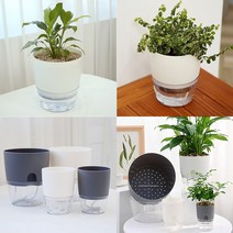 호르투스가든 모던 자동급수 플라스틱화분 저면관수화분 2color, 화이트