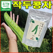 유기농 작두콩 차 기관지 감기에 효능, 유기농 작두콩차