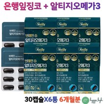 알티지오메가3 휘시오일 은행잎추출물 징코 플라보놀배당체혈행건강 눈건강 식약처인증 6개 기억력영양제