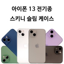 아이폰 13 전기종 스키니 슬림 케이스 / 미니 프로 프로맥스 반투명 초경량