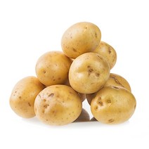 [한가락]새벽가락시장 직배송 햇감자 2kg, 왕특 10kg