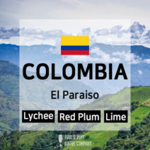 콜롬비아 엘파라이소 리치 엘파라이소리치, 200g, 리치, 콜드브루