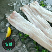 청아씨푸드 [상급] 국내산 자연산 손질 냉장 바다장어 실중량 1kg 냉동이 아닌 생물 붕장어, 1팩, 무두/사이즈-특대/실중량1kg/3-5미