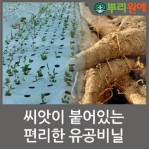 뿌리원예 도라지 씨앗 비닐 12공 1.5 x 250 m, 1개