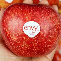 국내산 노블레스 엔비사과 5kg (16-20과)