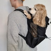 강아지 포대기 대형견 배낭형 이동가방 백팩 애견 앞가방, 기본형, 블랙