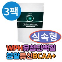 WPC WPH 식물성 단백질 프로틴 분말 3팩 벌크업 헬창 멸치탈출 운동후 물에 타 먹는 흡수율높은 가루 류신 루신 로이신 BCAA BACC 완두단백질 유청 가수분해, 3개