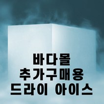[바다몰] 드라이아이스 1P (단독구매불가)