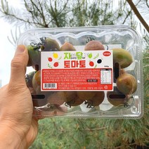 스테비아토마토 토망고 방울토마토 자달토마토 스윗마토, 특가1. 자달스테비아방울토마토 레드500g
