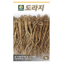도라지 6g / 토종 도라지 씨앗 종자 텃밭키우기 채소키우기