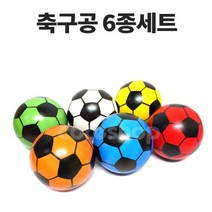 어린이 축구교실 구기운동 탱탱볼 6종세트 학습용 발리볼 남아 체육활동 유치원 농구