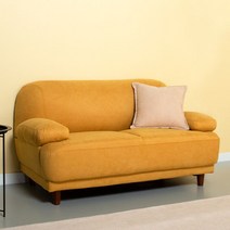 에보니아 에보니아 엔느 2인용쇼파 패브릭룩레더(방수가죽) 소파, 패브릭룩방수가죽_초코