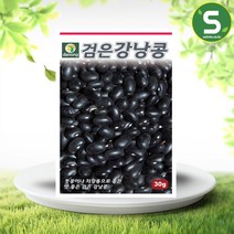 솔림텃밭몰 검은강낭콩씨앗 30g 검정강낭콩 풋콩 저장용콩, 단품