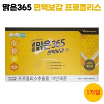 맑은365 면역보감 광동 면역력 프로폴리스 구강향균 항산화 액상 면역보감365, 1, 50ml/30포