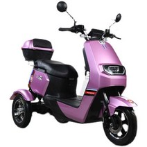 삼륜 오토바이 삼발이 스쿠터 미니 삼토바이 하원, 상세 페이지 참고, 60V22A블랙골드배터리+브레이크(60km)