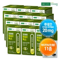 [건국유업] 굿아이 루테인 맥스 30캡슐x12개(12개월), 단품, 단품