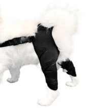 강아지 슬개골 보호대 관절 양다리 뒷다리 보조기, XS(양다리뒷다리보호대)