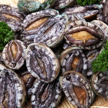완도활전복 꼬마전복 1kg 50-55미 산소포장, 1개