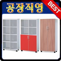 차트장 칼라4단스까책장 병원 사무용책장 캐비넷 주방 수납장 틉새가구 캐비넷 사무실 학원 학교, 올문장, 월낫