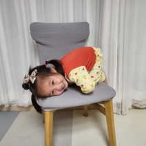 식탁의자 리폼 천갈이 커버 연그레이, 본상품선택