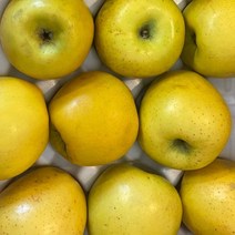 시나노 골드 황금 노란 사과 스위트 3kg, 3kg (19과 내외), 1박스