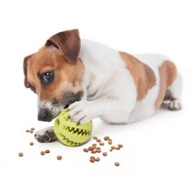 훈펫 [2+1디자인사이즈랜덤]강아지장난감 스낵볼 츄잉볼 강아지용품 노즈워크, 1개, 옐로우(5cm)