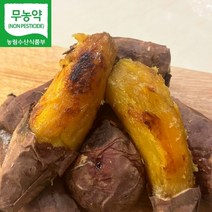 전남 무안 무농약 꿀고구마 3kg 5kg 산지직송, 5kg 꿀고구마, 한입, 1개