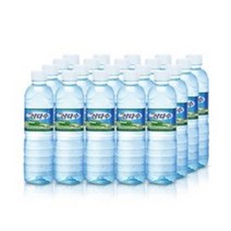 삼다수 페트(무라벨/유라벨 교차발송), 40개, 450ml