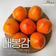 산지에서바로 품질선별 최상품 대봉감 대봉 홍시 특대과 대과 중과 소과 3kg 4.5kg 10kg, 대봉감 10kg 중대과
