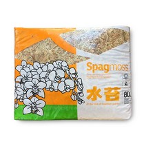 뉴질랜드 수태 스패그모스 AA 1kg, 단품