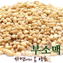 부소맥 한국산 300g, 1개