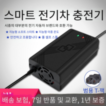 전기 자동차 배터리 충전기 48V12AH20AH60V72 볼트 Emma Yadi 나이프 트램 세발 자전거 유니버설, 납산 36V12AH 범용 원형 구멍