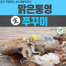 자연산 통영 제철 알통통 쭈꾸미 1kg (10미 내외) 2kg 신선한 산지직송 당일조업 생물쭈꾸미 활쭈꾸미, 통영활쭈꾸미 1kg