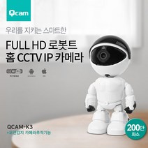서진네트웍스 FHD 고화질 보안 IP카메라 큐캠 QCAM-K3