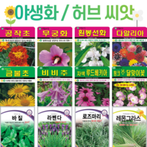 꽃씨 모음 노지 월동 사계절 봄파종 다년생 야생화 할미꽃 분홍달맞이 라벤다 봉선화 무궁화 꽃씨앗, 229. 라넌큘러스 매직옐로 5립