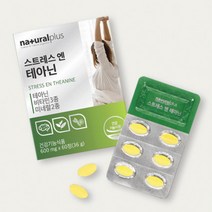 고등학생 학업 스트레스 완화 도움 테아닌 불안해소 숙면 긴장완화 공시생 꿀잠 스트레스에좋은 잠잘오는