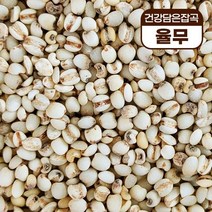 건강담은잡곡 율무 칼슘 식이섬유 당뇨도움 다이어트도움 혈관건강 고품질, 단품