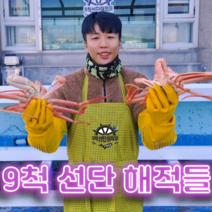 제철 동해 대게 구룡포 국내산대게 수율80% 3Kg 7-9마리 9척선단해적들, 먹기편한 자숙(+10000)