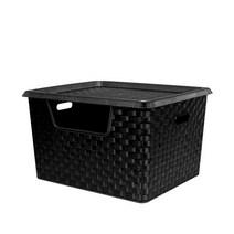 지오리빙 클린존 30L 분리수거함, 1단(블랙)