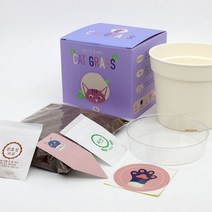 화분재배KIT 캣그라스 캣닢 키우기