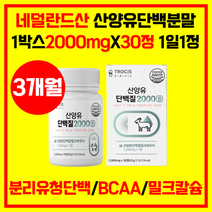 네덜란드 산양유 단백질 2000 3개월분 영양제 BCAA 류신 아미노산 WPI 단백질알약 유청분말