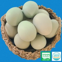 무항생제 청계 유정란 동물복지 HACCP 인증 친환경 유기농 청란 청계알 청계란 달걀 백화점납품 고급 계란 특란사이즈 20구 당일산란 신선한달걀 당일배송, 유기농 무항생제 청계란 유정란 20구