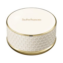 설화수 퍼펙팅 파우더 20g 본품만, 21N호 베이지 본품, 1개