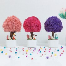 스칸디아모스 화분 그늘에서잘자라는 집에서키우기좋은 관리쉬운공기정화 식물, 옐로우, 1개