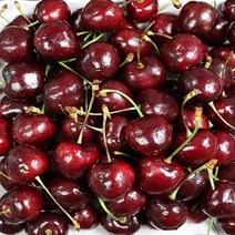 체리농장 체리제철 고당도생체리칠레산미국산 1kg 2kg, 수입체리 2kg