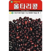 AR 울타리콩 콩 씨앗 30g