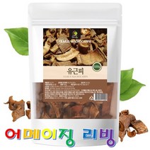 엄마애손 유근피 건재 500g 10 + 사은품 말린 유피 느릅나무 뿌리 껍질 코나무 플라보노이드 사포닌 탄닌 국내산 100% 경북영천 유근피차 유근피물 환절기 코 피부 모발 건강, 1봉