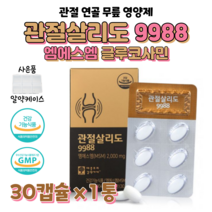 관절엔 옵티 MSM 엠에스엠 관절살리도 9988 글루코사민 맘속에 그린 프리미엄 조인트 관절 손가락 연골 에너지 밸런스 건강 도움 플래티넘 영양제 미라클 효능 비교 50대 등산, 1박스, 1004mg x 30정 (하루두알)